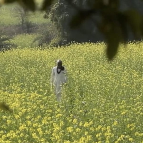 Anandana Foundation, Coke – Project Unnati